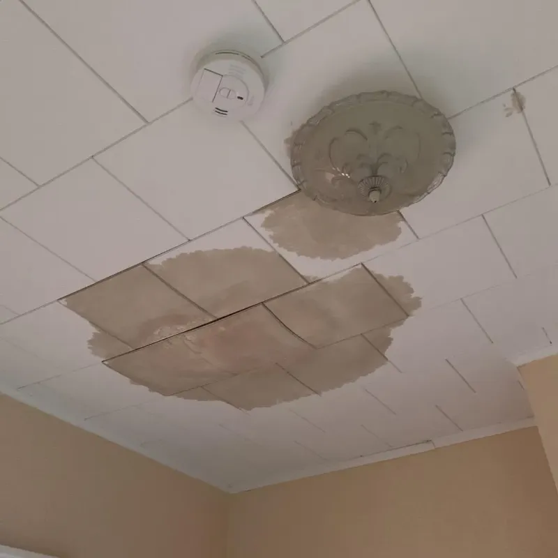 Ceiling Water Damage Repair in Dellwood, MN